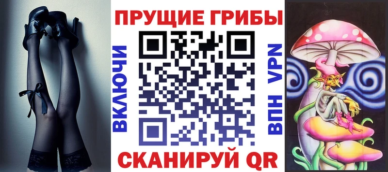 Галлюциногенные грибы Psilocybe  Купить  Елабуга 