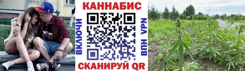 Купить  Елабуга  Конопля SATIVA & INDICA 